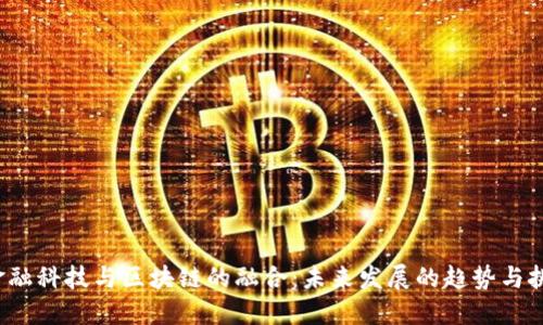  金融科技与区块链的融合：未来发展的趋势与挑战