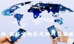 玩转区块链：国外宠物养