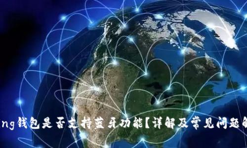 Bying钱包是否支持蓝牙功能？详解及常见问题解答