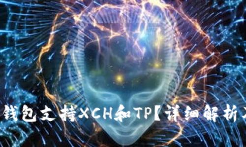  哪个钱包支持XCH和TP？详细解析及推荐