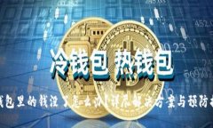 TP钱包里的钱没了怎么办？