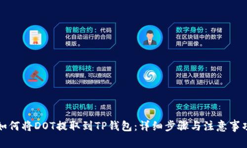 如何将DOT提取到TP钱包：详细步骤与注意事项
