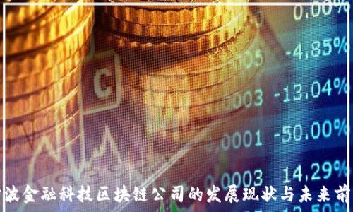   
宁波金融科技区块链公司的发展现状与未来前景