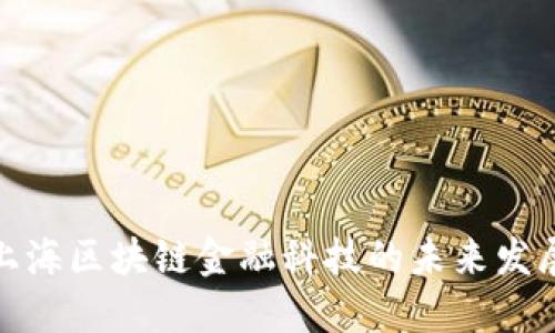 探索上海区块链金融科技的未来发展趋势