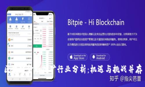 区块链金融挖矿行业分析：机遇与挑战并存