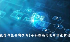 数字钱包去哪里用？全面