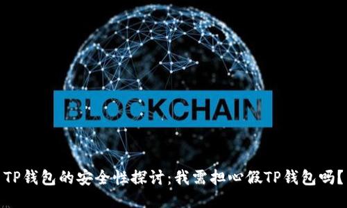 TP钱包的安全性探讨：我需担心假TP钱包吗？