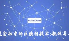 : 跨境金融中的区块链技术：挑战与不足