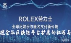 : 跨境金融区块链平台扩展的机遇与挑战