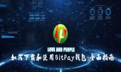  如何下载和使用BitPay钱包：全面指南