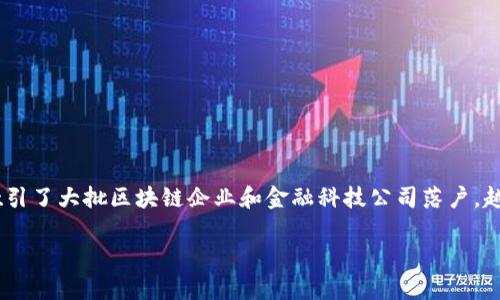 新加坡区块链金融机构已经成为全球金融科技创新的重要中心。新加坡以其健全的金融体系、严格的法律规章、以及开放的市场环境，吸引了大批区块链企业和金融科技公司落户。越来越多的创新性企业在这里发展，为新加坡带来了广泛的经济利益和技术进步。以下是详细的介绍内容，包括、关键词、问题和相关解答。

新加坡区块链金融机构：创新与发展的前沿