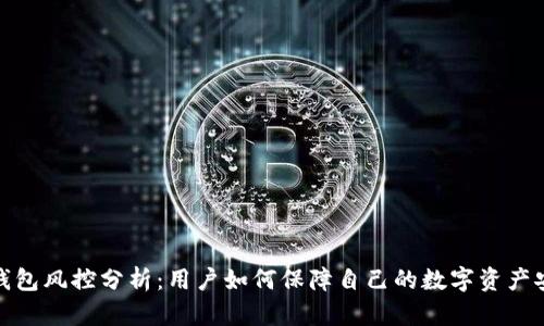 TP钱包风控分析：用户如何保障自己的数字资产安全