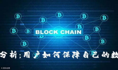 TP钱包风控分析：用户如何保障自己的数字资产安全