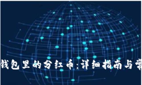 如何领取TP钱包里的分红币：详细指南与常见问题解答